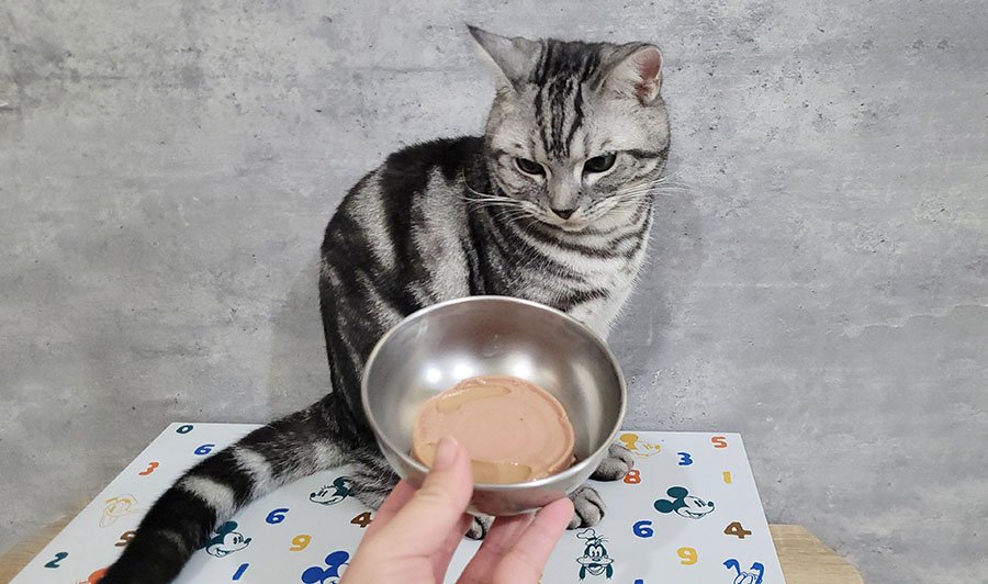 貓侍Catpool 升級版低敏食材天然主食罐開箱 (62).jpg