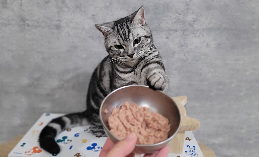 貓侍Catpool 升級版低敏食材天然主食罐開箱 (66).jpg