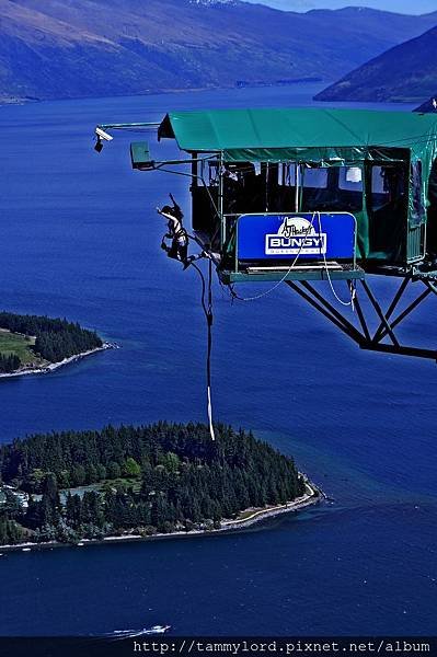 bundge Jumping (3)