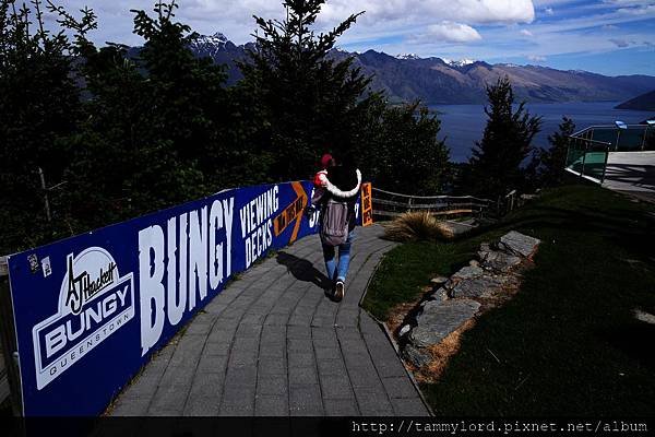 bundge jumping (7)