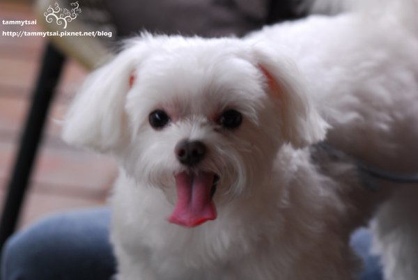 DSC_7305.JPG