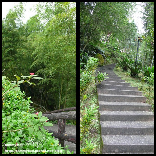 竹林步道.jpg