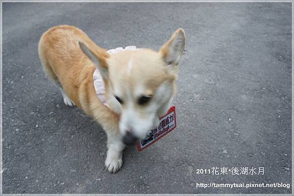 後湖水月