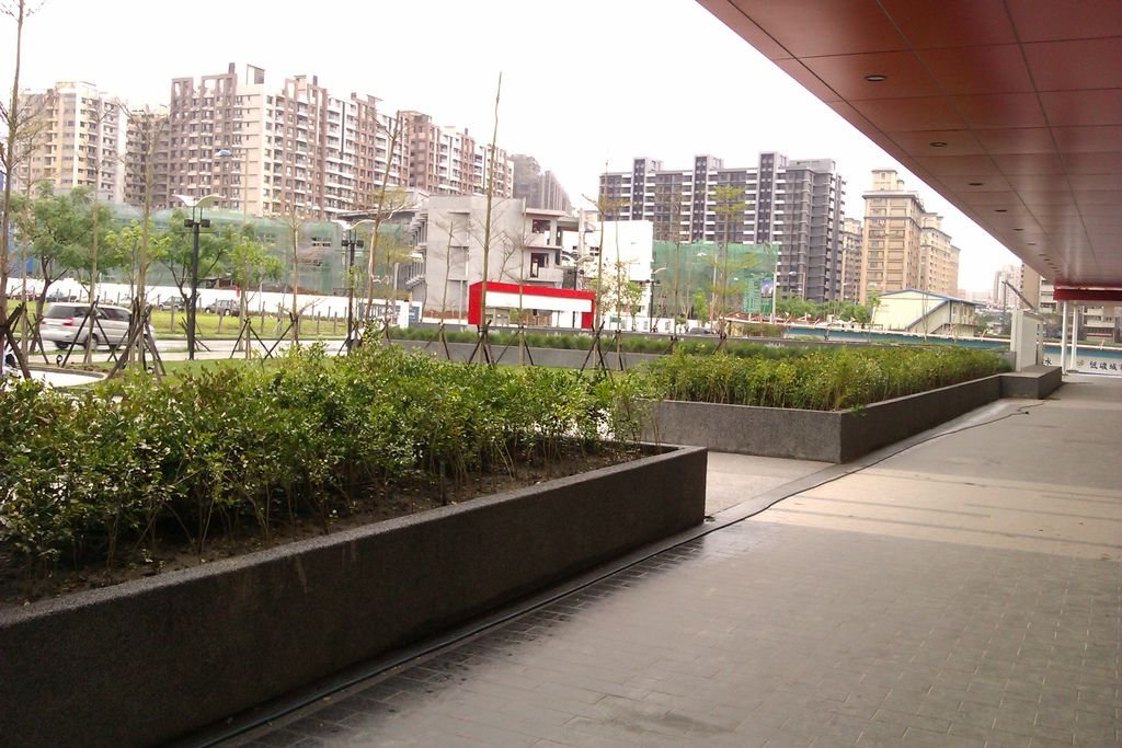 IMAG2452