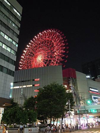 DSCN1610.JPG