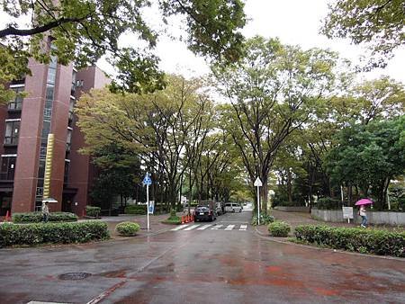 DSCN6289.JPG