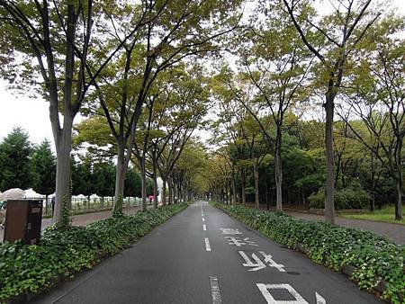 DSCN6292.JPG