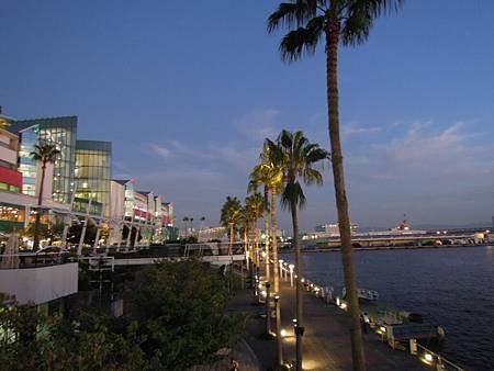 DSCN6238.JPG
