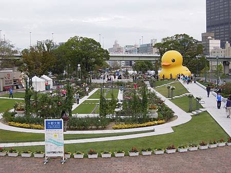 DSCN6590.JPG