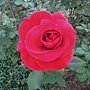 DSCN6595.JPG