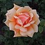 DSCN6633.JPG