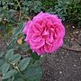 DSCN6599.JPG