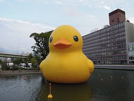 DSCN6643.JPG