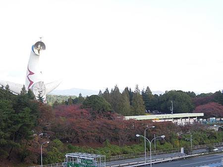 DSCN8047.JPG
