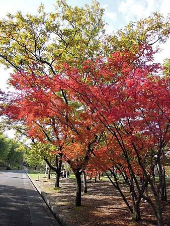 DSCN8069.JPG