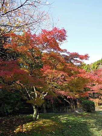 DSCN8085.JPG