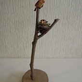 DSCN8132.JPG