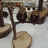 DSCN8137.JPG