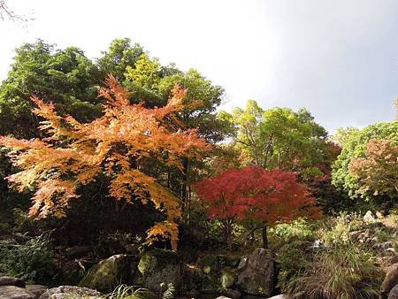 DSCN8154.JPG