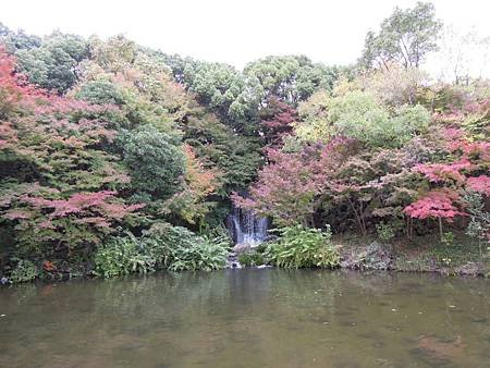 DSCN8200.JPG