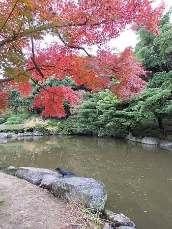 DSCN8221.JPG