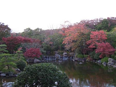 DSCN8582.JPG