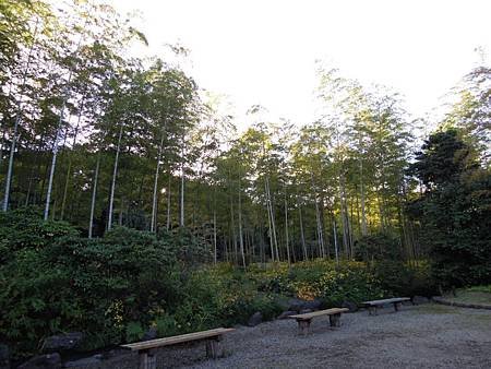 DSCN8458.JPG
