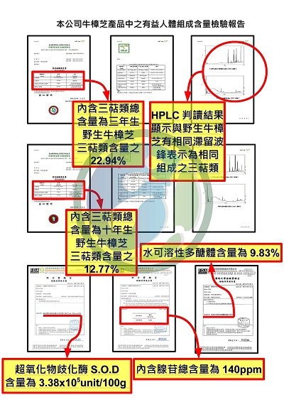 嘉南藥理及昭信報告書有公司名(400x566)