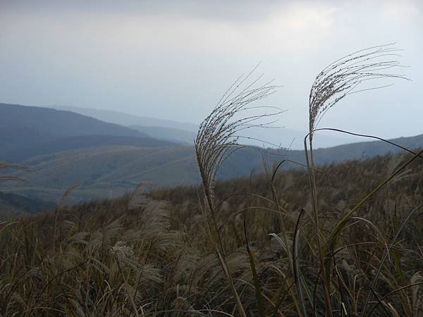 陽明山區 139