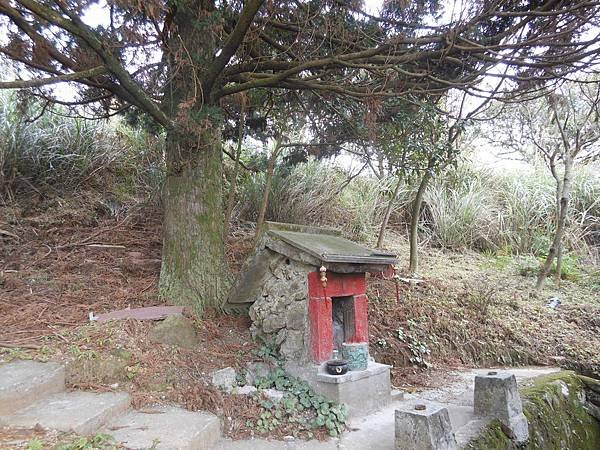 陽明山區 259