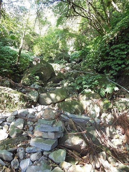 陽明山區2 193