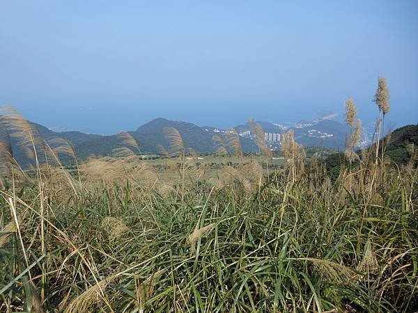 萬里區 033