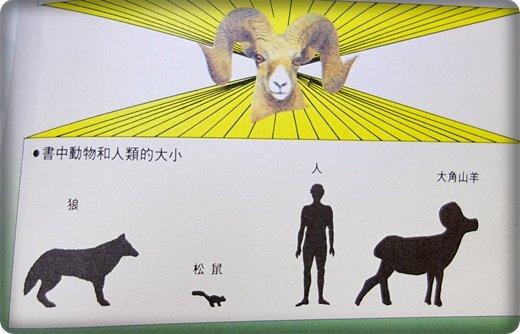 西頓動物記 (8).JPG