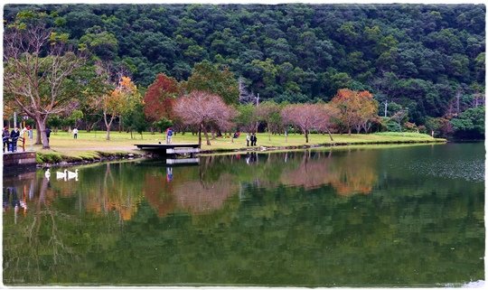 龍潭湖風景區 (8).JPG