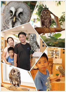 日本三重縣親子旅行