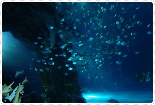 夜宿海生館 (13).JPG