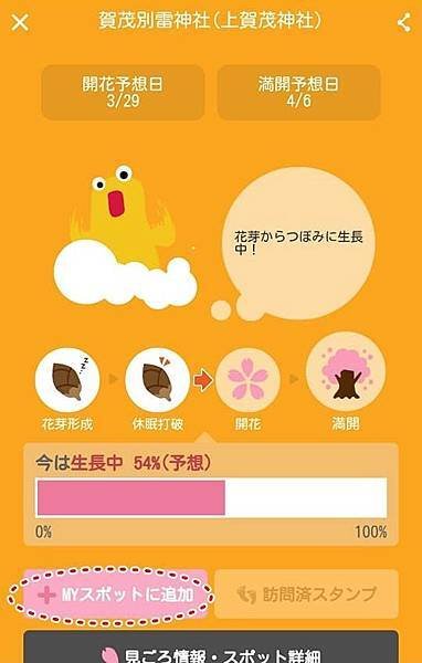 櫻花開花情報app