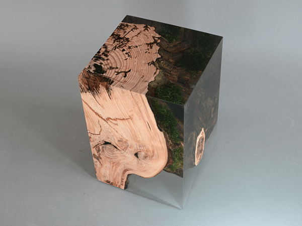 STUMP STOOL_2_UNDERGROWTH-1.png