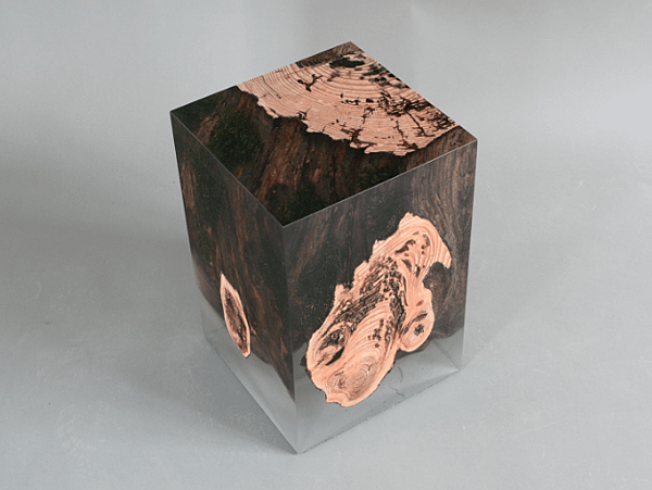 STUMP STOOL_2_UNDERGROWTH-2.png