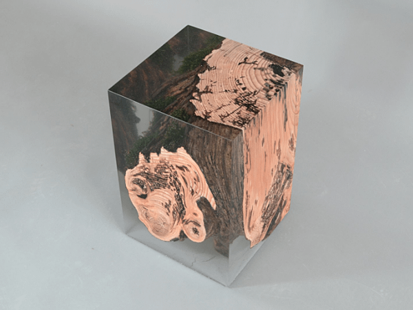 STUMP STOOL_2_UNDERGROWTH-4.png