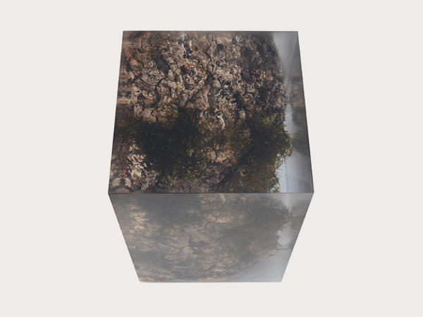 STUMP SIDE TABLE_UNDERGROWTH-6.png