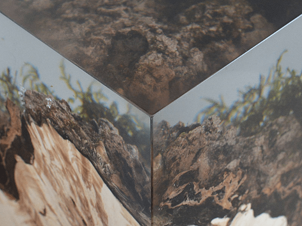 STUMP SIDE TABLE_UNDERGROWTH-3.png