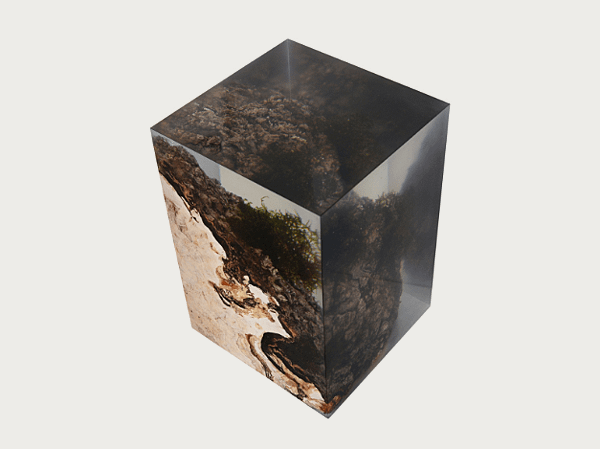 STUMP SIDE TABLE_UNDERGROWTH-4.png