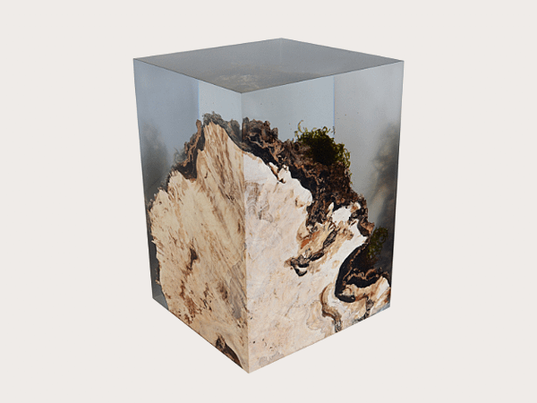 STUMP SIDE TABLE_UNDERGROWTH-5.png