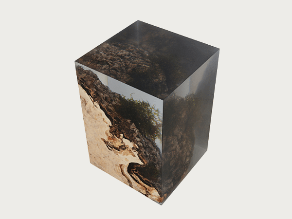 STUMP SIDE TABLE_UNDERGROWTH-7.png