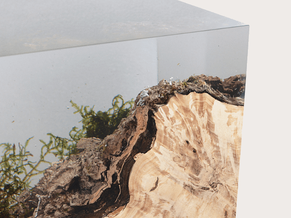 STUMP SIDE TABLE_UNDERGROWTH-8.png