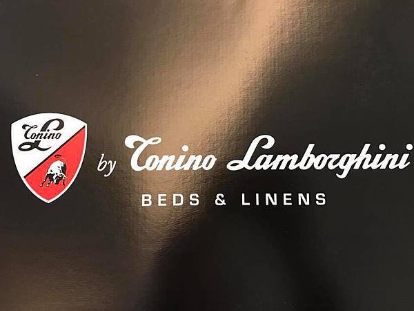 lamborghini pillows-1.jpg