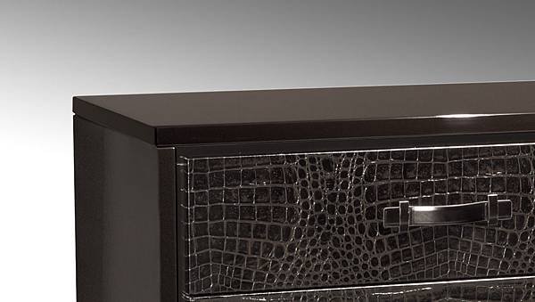 Domus %26; Settimio Chest of Drawers_6_detail.jpg