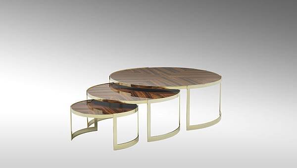 Anya Coffee Table_2.jpg