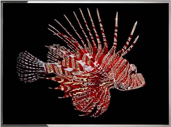 Scorpio fish_art work_visionnaire-1.jpg